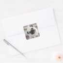 Recherche de tête de chien autocollants Carlin