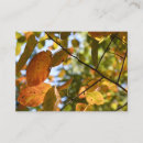 Recherche de automnal cartes visite Automne