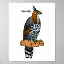 Recherche de amazonien posters Oiseau