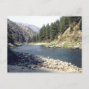 Recherche de saumons cartes postales Nature