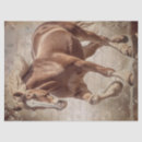 Recherche de cheval belge Travail