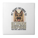 Recherche de berger allemand chien carreaux Animal