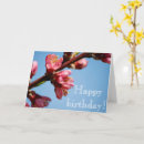 Recherche de cherry blossom anniversaire cartes Fleurs de cerisiers
