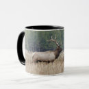 Recherche de bull elk tasses Délimiteur danita