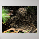 Recherche de plume posters Gris