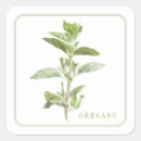 Recherche de origan autocollants Botanique