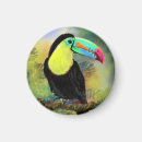 Recherche de peintures tropicales magnets Oiseau
