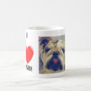 Recherche de bouledogues tasses Français