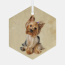 Recherche de yorkshire terrier ornements Chien