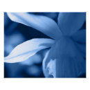Recherche de abstrait posters Plante