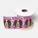 Recherche de anglais rubans Springer spaniel anglais