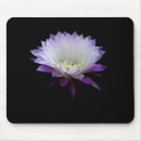 Recherche de fleur cactus tapis souris Plante