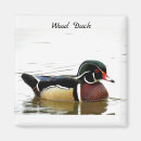 Recherche de ornithologie magnets Sauvage