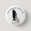 Recherche de eagle badges Aigle
