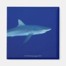 Recherche de fruits de mer magnets Nature