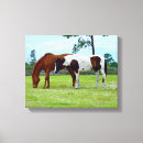 Recherche de cheval impressions sur toile Ranch