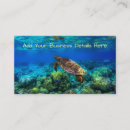 Recherche de tortue marine cartes visite Tortue de mer
