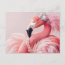 Recherche de plumes roses cartes postales Flamant