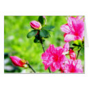 Recherche de azalée Floral