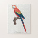Recherche de parrot puzzles Bird