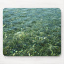 Recherche de mer des caraïbes tapis souris Nature
