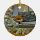 Recherche de roitelet ornements Nature