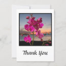 Recherche de phalaenopsis cartes postales Rose