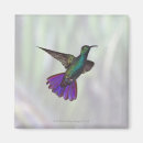 Recherche de autour du monde magnets Oiseaux