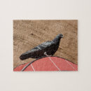 Recherche de pigeon puzzles Ville