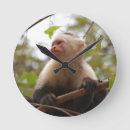 Recherche de curieuse horloges Faune