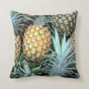 Recherche de plantes tropicales coussins Ananas