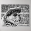 Recherche de le carlin posters Pour tous