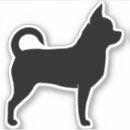 Recherche de chiwawa électronique Animaux
