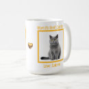 Recherche de chatons gris tasses Amoureux des chats