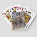 Recherche de bébé nouveau né jeux de cartes Faune