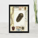 Recherche de fossile vœux cartes Science