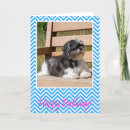 Recherche de tzu vœux cartes Chiots