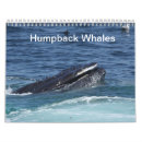 Recherche de baleine calendriers Faune