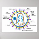 Recherche de sida posters Virus