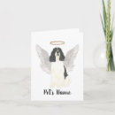 Recherche de springer spaniel vœux cartes Espagne springer anglais