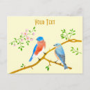 Recherche de merle bleu cartes postales Merles bleus