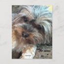 Recherche de friends cartes postales Toute personne