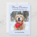 Recherche de pattes de chien vœux cartes Joyeux