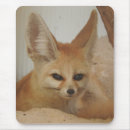Recherche de renard fennec tapis souris Renards