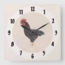 Recherche de plumage art Coq