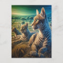 Recherche de compagnon cartes postales Félin
