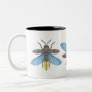 Recherche de luciole tasses Insecte