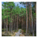Recherche de cheminée posters Arbre