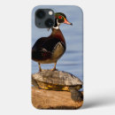Recherche de de canard ipad coques Superstock