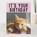 Recherche de chat de gingembre vœux cartes D'anniversaire